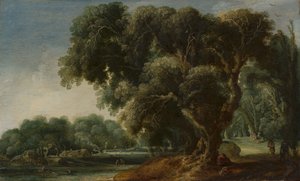 Gefantaseerd boslandschap